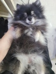 오늘도 냥독