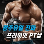 짐레이너