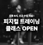 코리안탑팀 강남