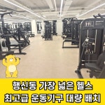 골드베어짐
