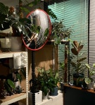 그루비웍스커피 평택점