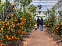 꿈에그린체험농장