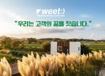 위트