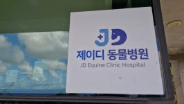 제이디동물병원
