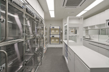 24시온숲동물의료센터