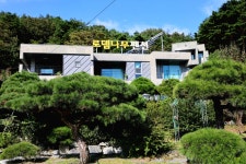 동학사로뎀나무펜션