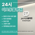 24시 이오동물병원