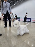 그루밍쇼타임
