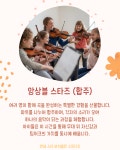 연세스타바이올린음악교습소