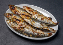 돼지네회포장마차