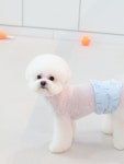 허그퍼피