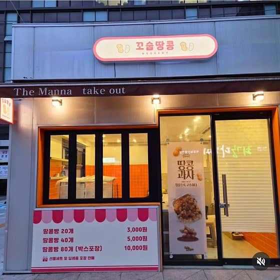꼬숩땅콩 사진