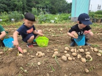 삼송이화어린이집