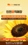 백조꽃직매장 | 인천꽃직매장