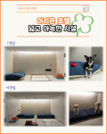 이리온 동탄 애견유치원 애견호텔