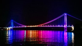 적금 해리스