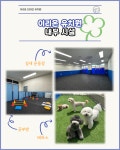 이리온 동탄 애견유치원 애견호텔