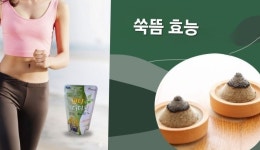 제주도 힐링센터