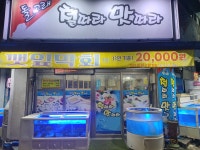돌고래철따라맛따라