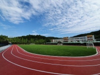 대가야고등학교