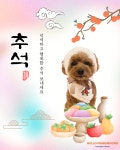 헬로멍뭉 애견유치원&애견호텔