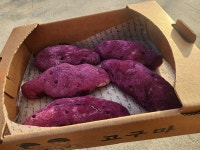 영암꽃피당 농업회사법인