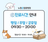 노원온동물병원