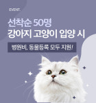 광주 강아지분양 고양이분양 어반펫 광주본점