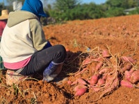 농업회사법인 해찬향기