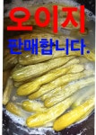 영풍농장