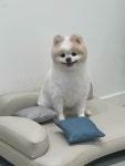 달코살롱