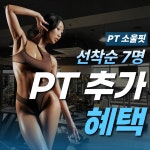 PT 소울핏