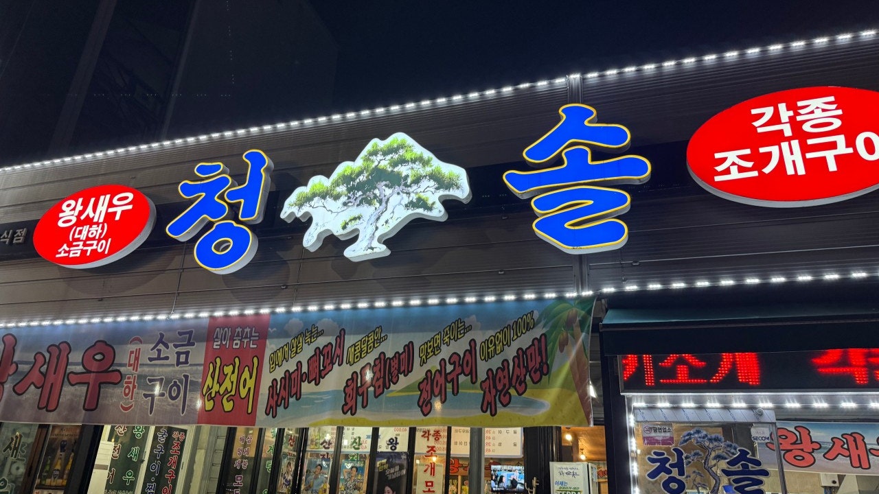 청솔
