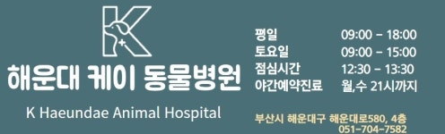 해운대 케이 동물병원