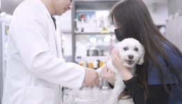 아프리카 동물의료센터