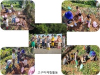 빛과소금영아전담어린이집