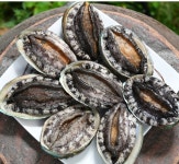 부산막썰어횟집