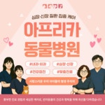 아프리카 동물 종합병원