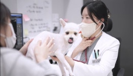 아프리카 동물의료센터