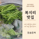 청솔참복