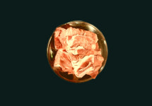 추돈가 발산본점