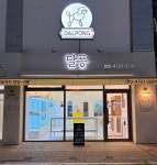 달퐁