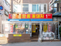 응암동 꽃돼지