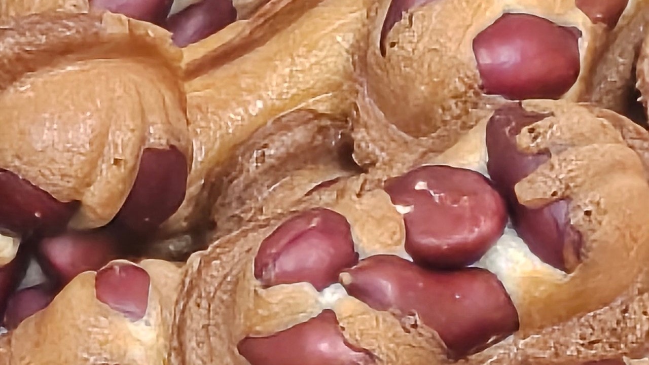 호두연구소
