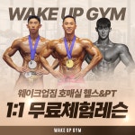 웨이크업짐 호매실점 헬스&PT