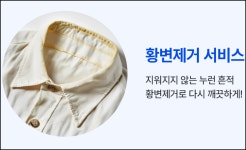 크린토피아 대전용두하늘채엘센트로점