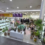 소소감성식물&오브제숲