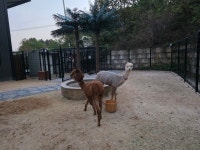 수달앤쥬 용인점