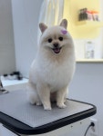 두리몽