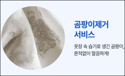 크린토피아 대전용두하늘채엘센트로점